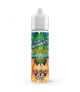 E liquide Mangabeys Iced Twelve Monkeys 50ml