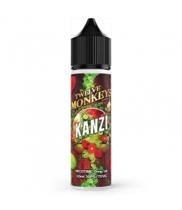 E liquide Kanzi Twelve Monkeys 50ml